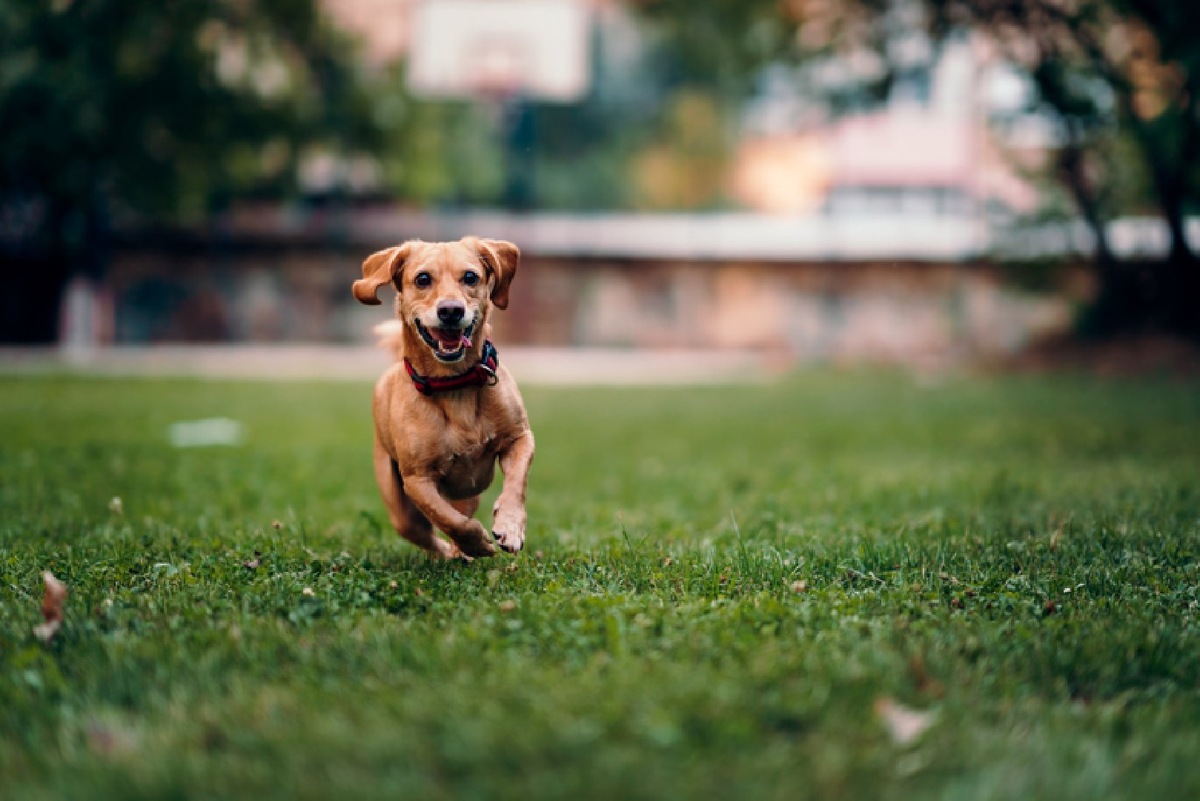    Фото: iStock/Kerkez