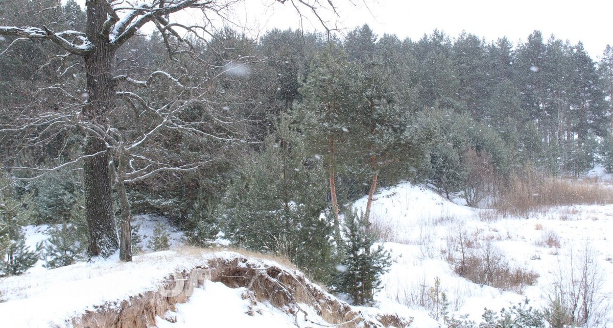    из архива "Про Город"