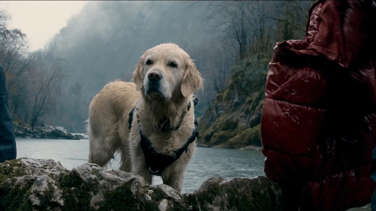 Кадр из сериала