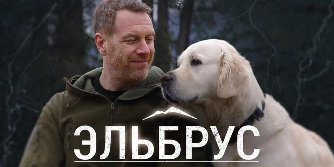Ретривер с золотым сердцем