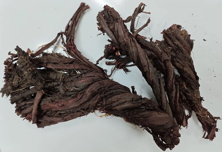    Фото: ФГБУ «ВНИИЗЖ»