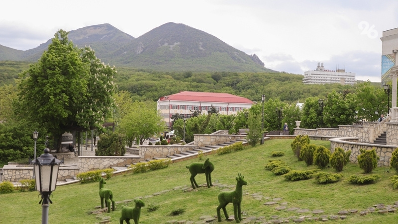      Фото: ИА «Победа26»