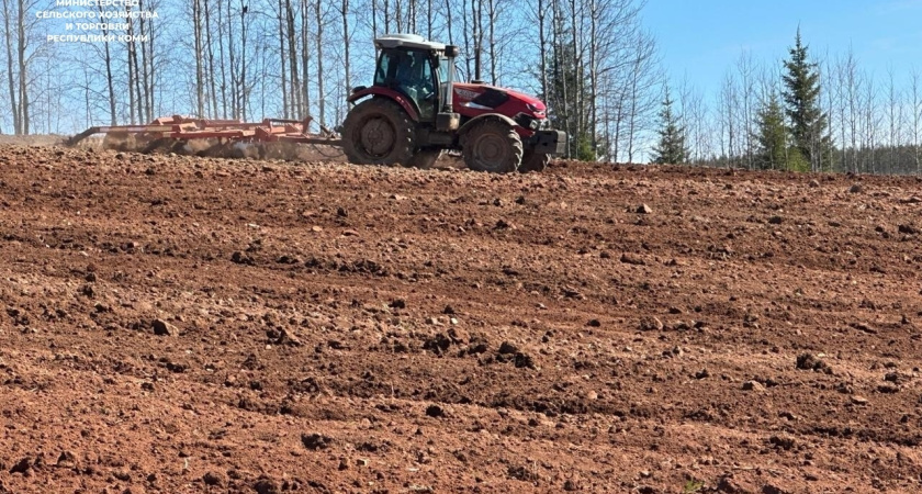    Фото: Минсельхоз