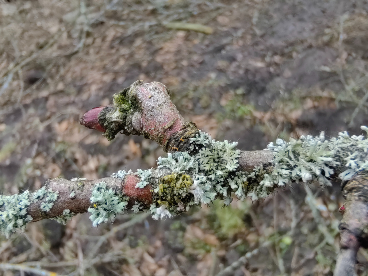 Ну какая тут защита от солнца???