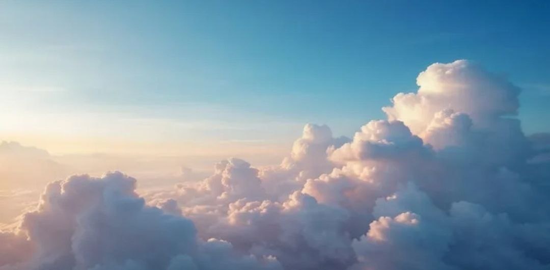 Фотография из интернета 