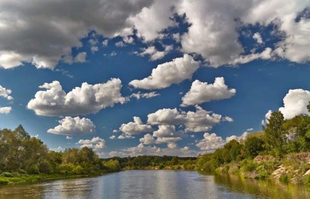 Фотография из интернета 