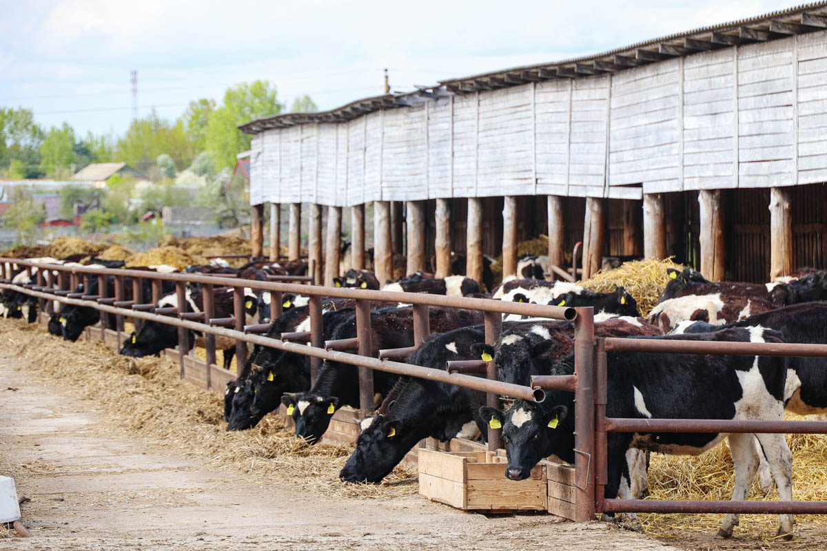    Изображение носит иллюстративный характер. Фото: Tochka.by