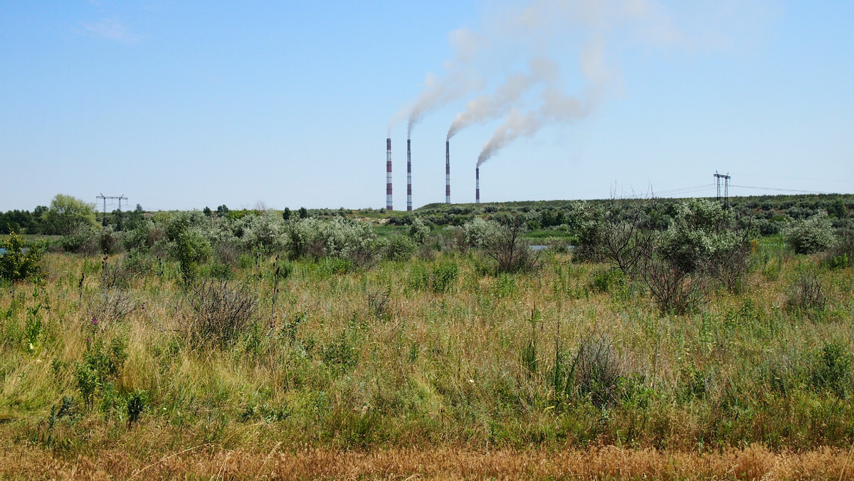 Фото: Центр общественных коммуникаций ЮФУ