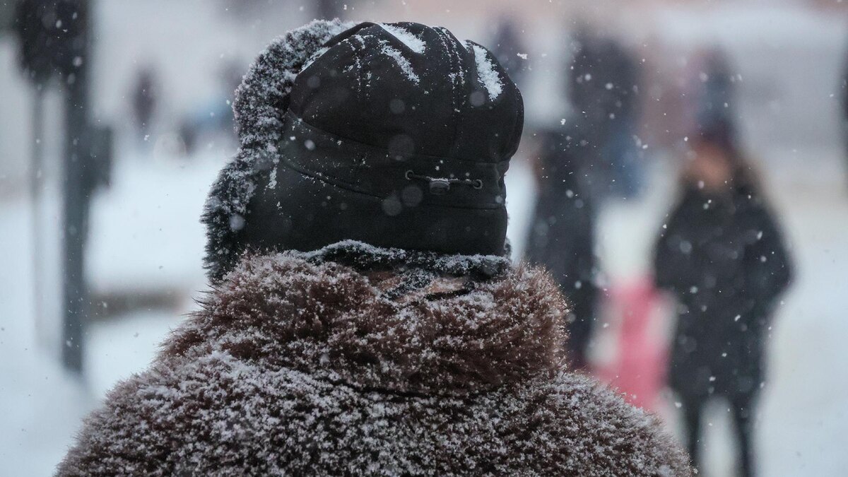    Фото: Belkin Alexey/globallookpress.com