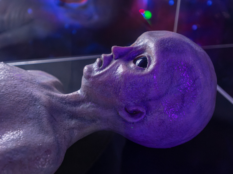     фото: Komsomolskaya Pravda/Global Look Press/Global Look Press