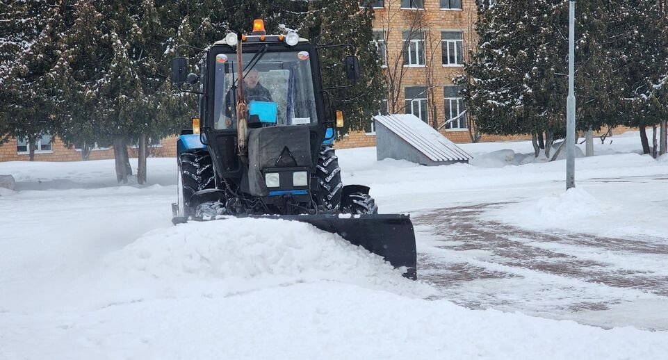    Фото: Мария Шигорева