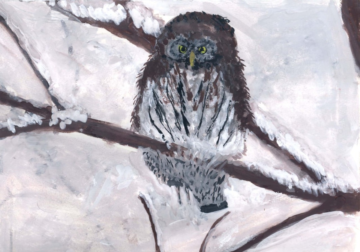     Сова. Тунгусский заповедник. Детский рисунок   
© ИА Красная Весна