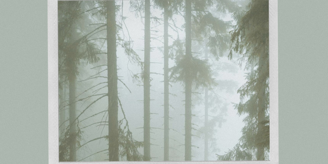 Почему у меня вроде всё нормально, но внутри постоянное беспокойство? Взгляд схема-терапии.