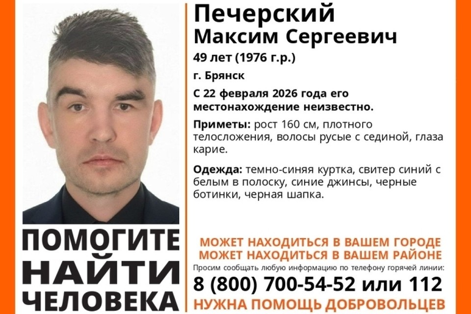    Фото: поисковый отряд "Лиза Алерт", ВКонтакте.