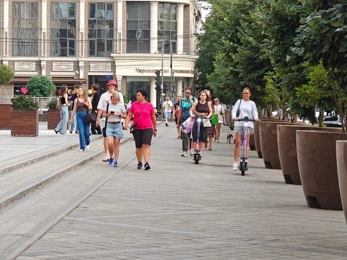    Фото: Юрий Серебренников/BFM Кубань