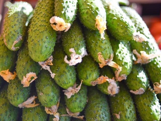    Фото: портал мэра и правительства Москвы