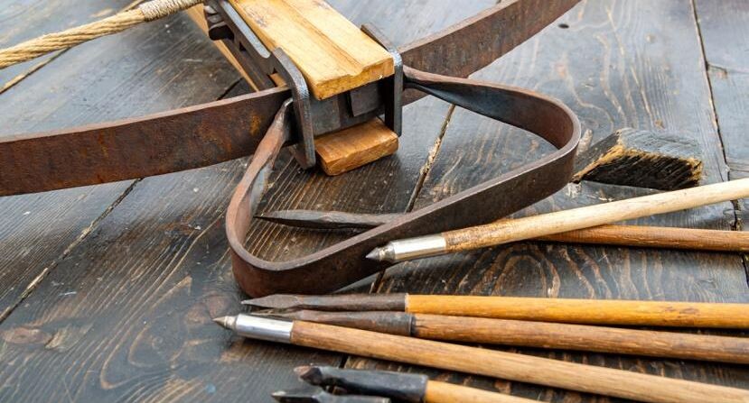    Вячеслав Палес / Фотобанк Лори