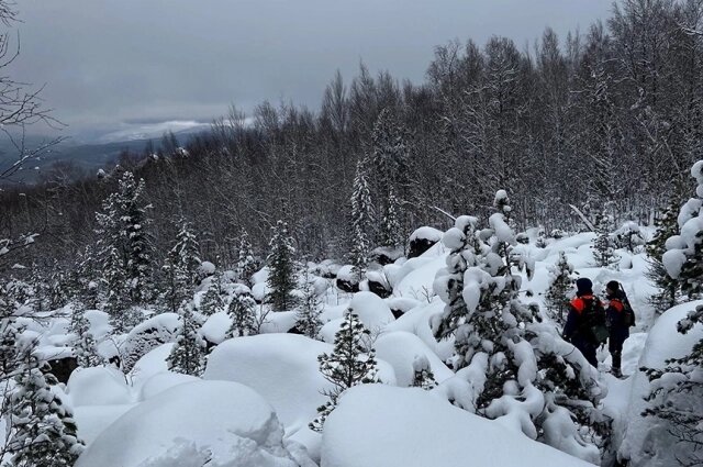    По мнению Валентина, пятно видно на крайней ели слева Фото: Социальная сеть