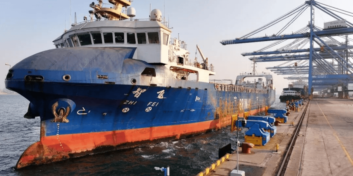 Фото: (с) m.thepaper.cn