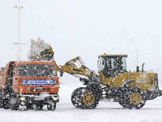    Фото: ТАСС/Александр Петров