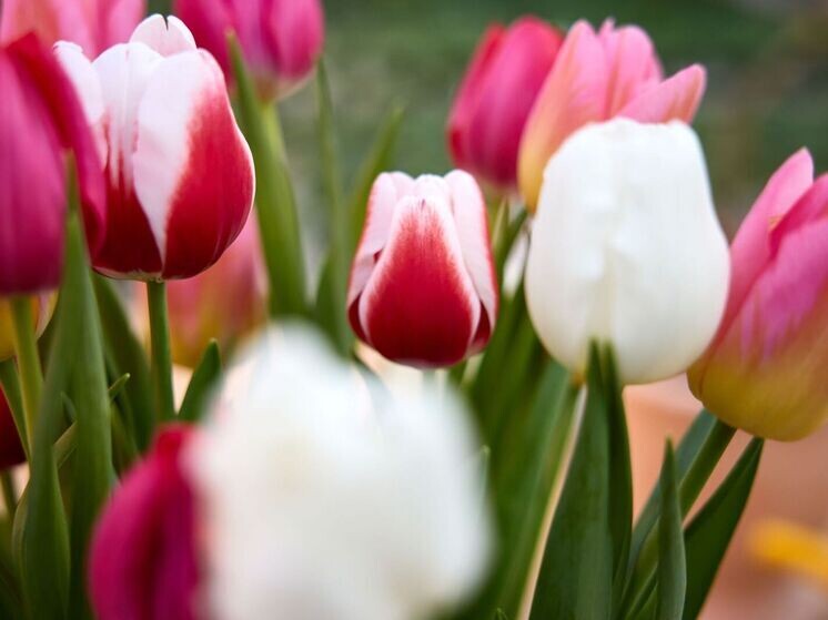     Фото: Здебский Юрий/«Ямал-Медиа»