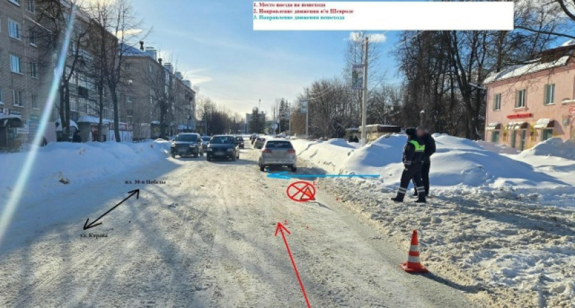    Фото: Госавтоинспекция Костромской области