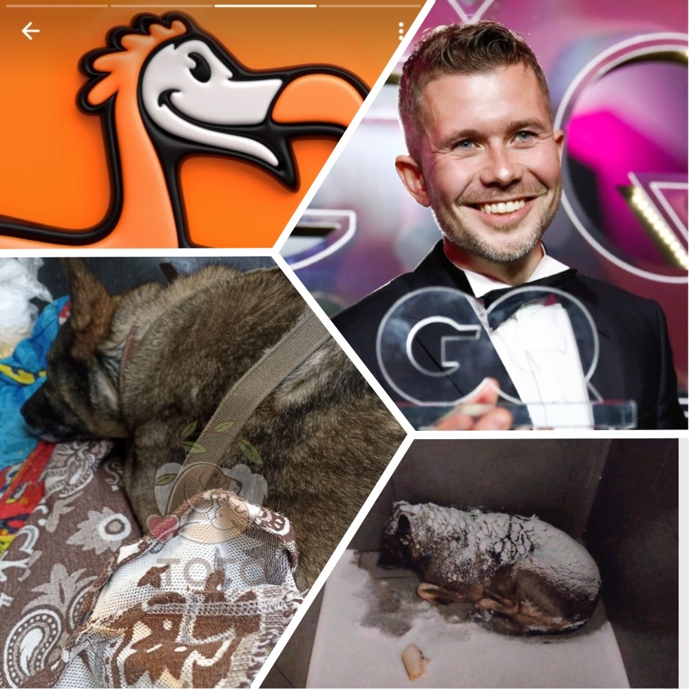 Коллаж из фото взятых из открытых пабликов 