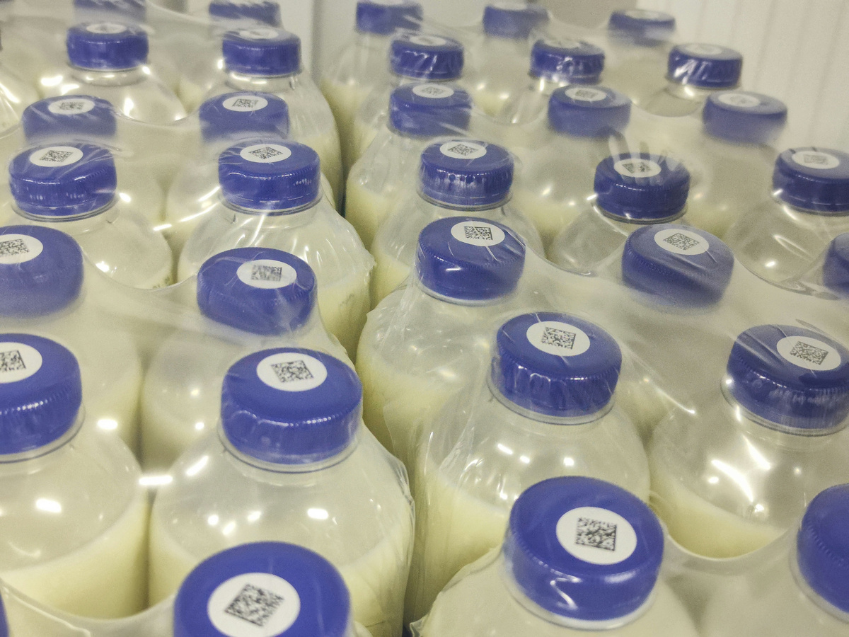 В нижегородском молоке нашли лишний жир.  Фото: ФедералПресс / Ксения Кобалия