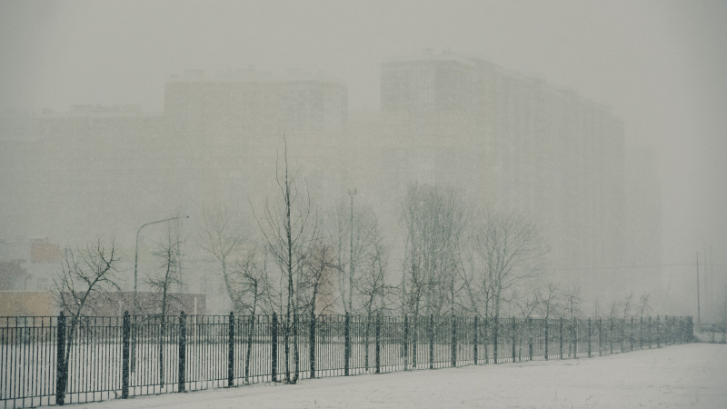 В Петербурге объявили «жёлтый» уровень опасности из-за порывистого ветра и снегопадов