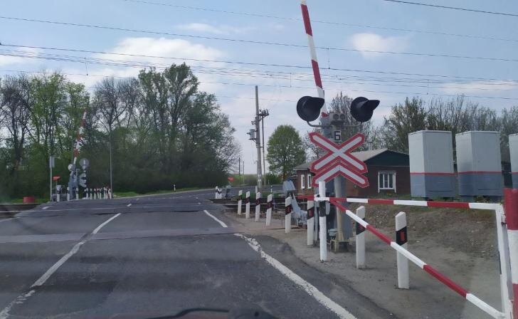    фото Курские известия