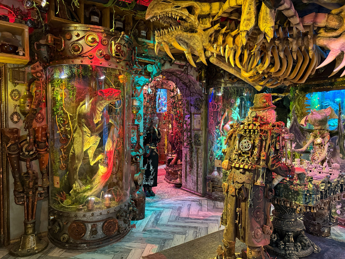 Особняк "Небылица": 5 фактов о самом странном музее Петербурга (картинка авторская)