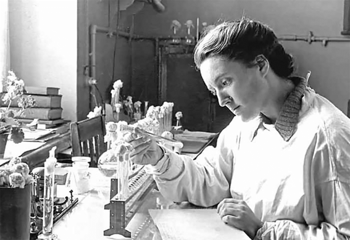 З. В. Ермольева за работой
Источник: А.Ю. Попова, Е.В. Ковалев, Т.И. Твердохлебова «Зинаида Ермольева: наука и жизнь». Под редакцией доктора медицинский наук, профессора А. Ю. Поповой – ИП Ютишева А.С., Ростов н/Д, 2022. – 256 с.
