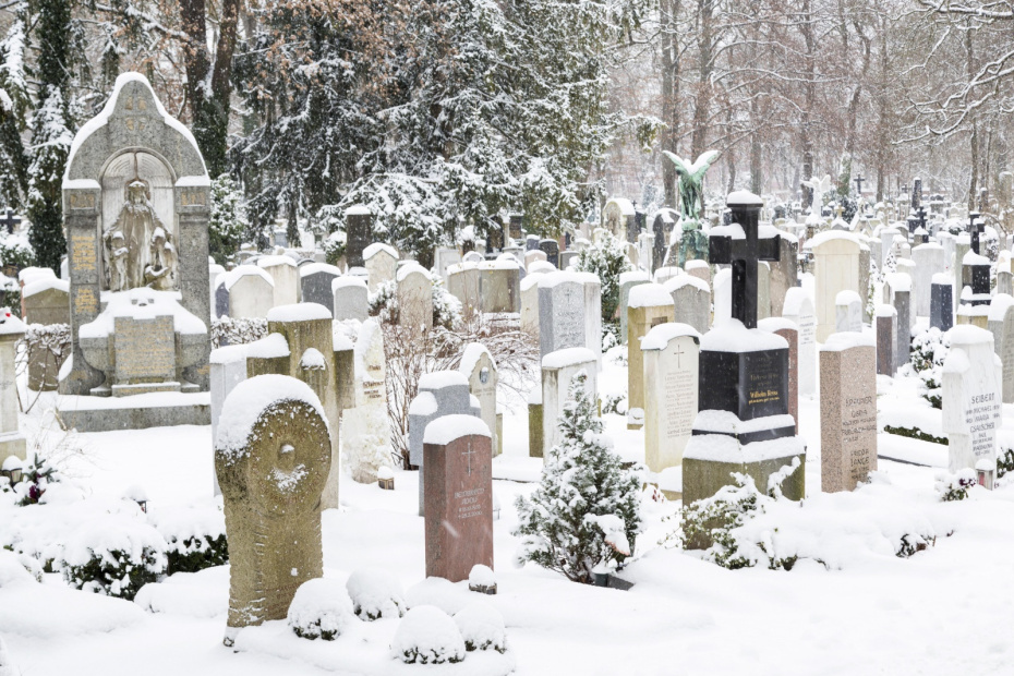    Marc Rasmus/imageBROKER.com/Global Look Press