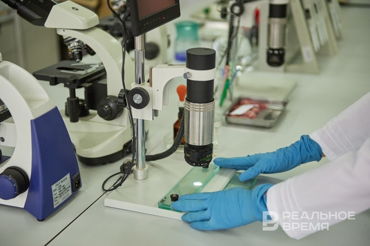   Динар Фатыхов / realnoevremya.ru