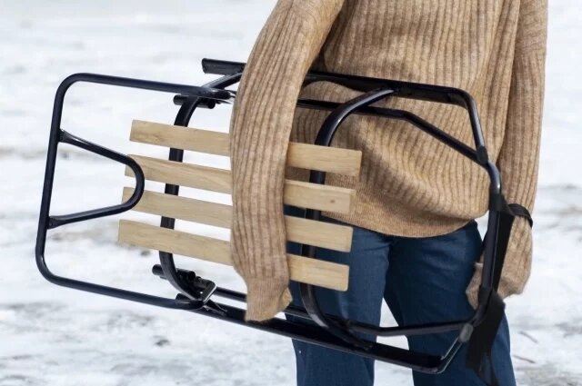    К чему снятся санки?