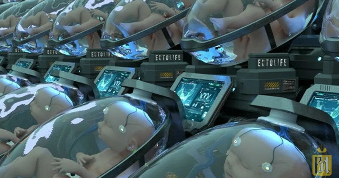 Инкубатор для выращивания людей. Из открытого источника