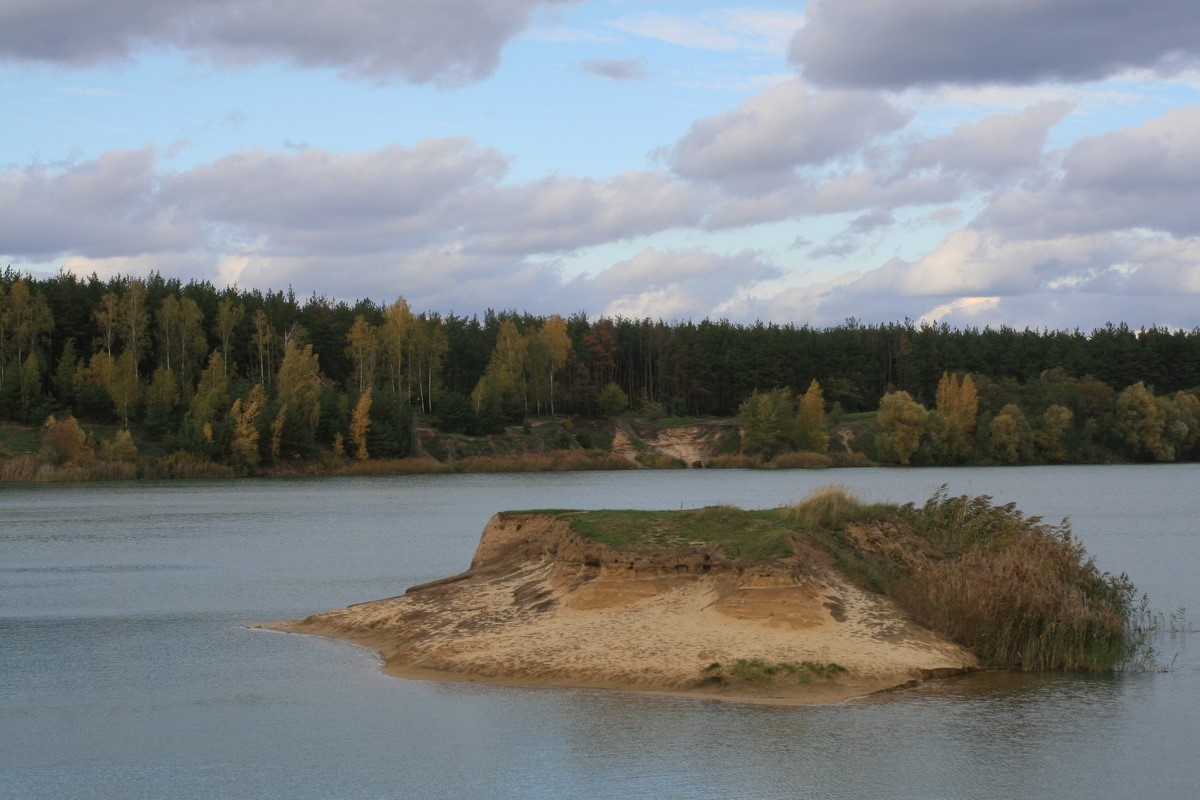 Елена Зареченская
