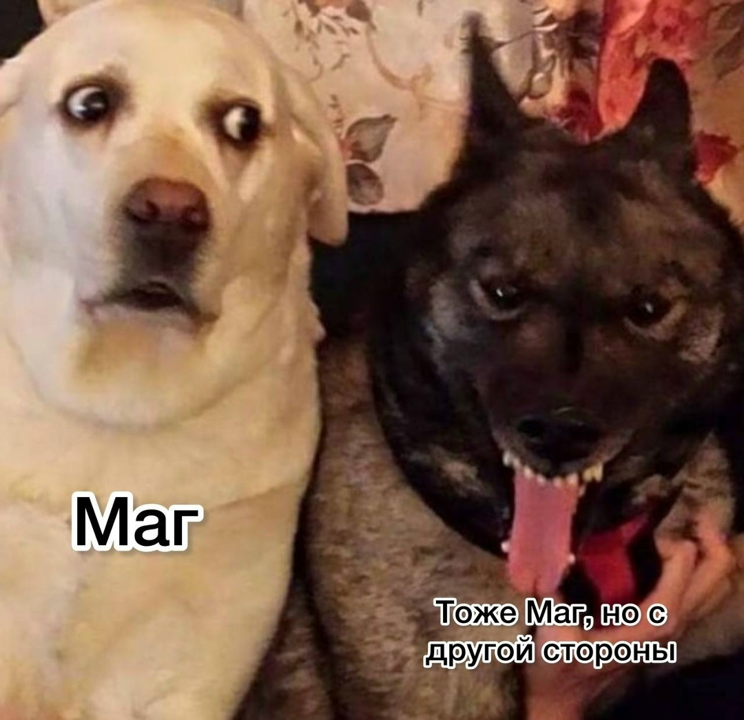 маг таро