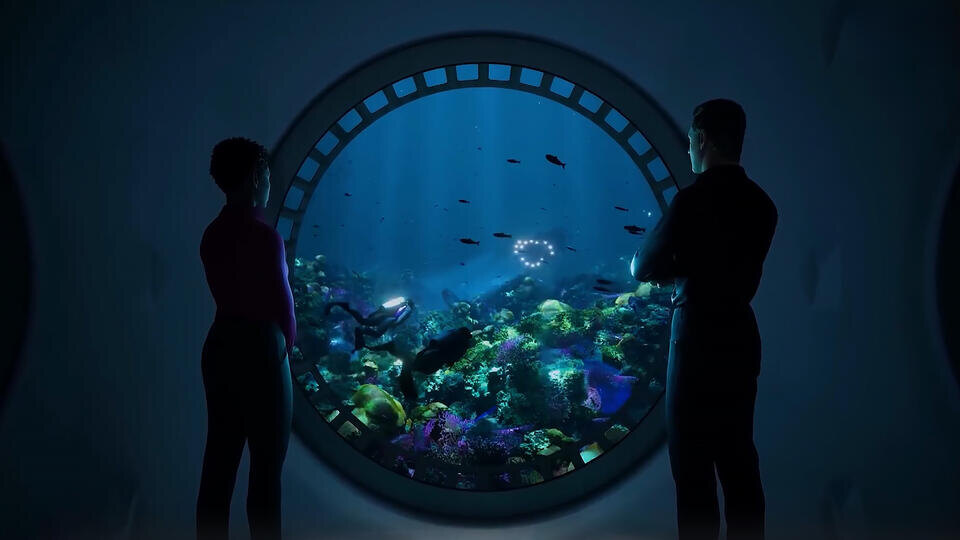 Фото: © Кадр программы "Наука и техника", РЕН ТВ