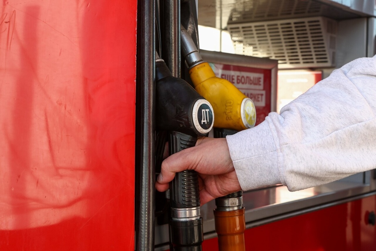    Фото: Global Look Press/Shatokhina Natalia/news.ru