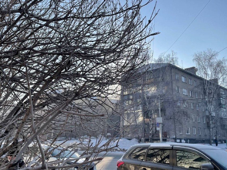 В Новосибирске солнечно и почти не дует ветер. Фото: Дарья СИДОРЕНКО