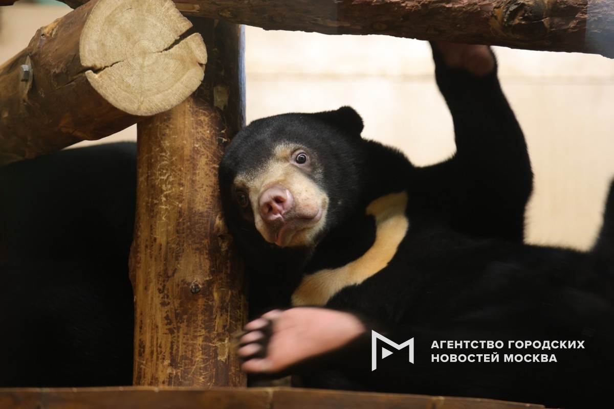 Фотограф: Дмитрий Белицкий