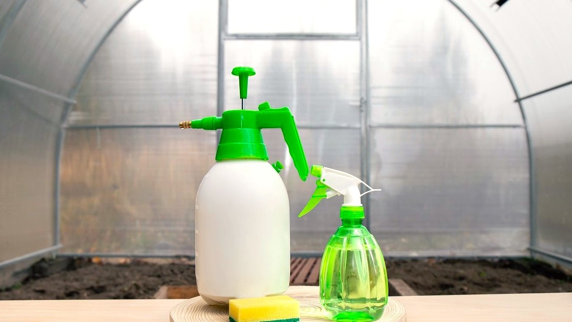 Чем мыть теплицу внутри весной перед сезоном: Экспертный гид по дезинфекции и подготовке