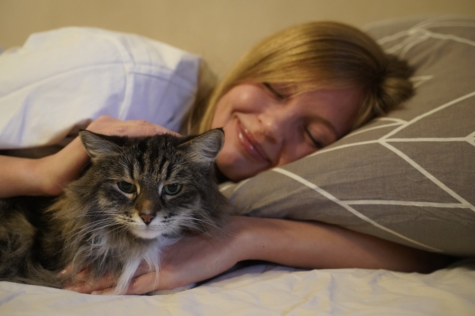    Наличие этого варианта гена повышает риск бессонницы примерно на четверть. Светлана МАКОВЕЕВА