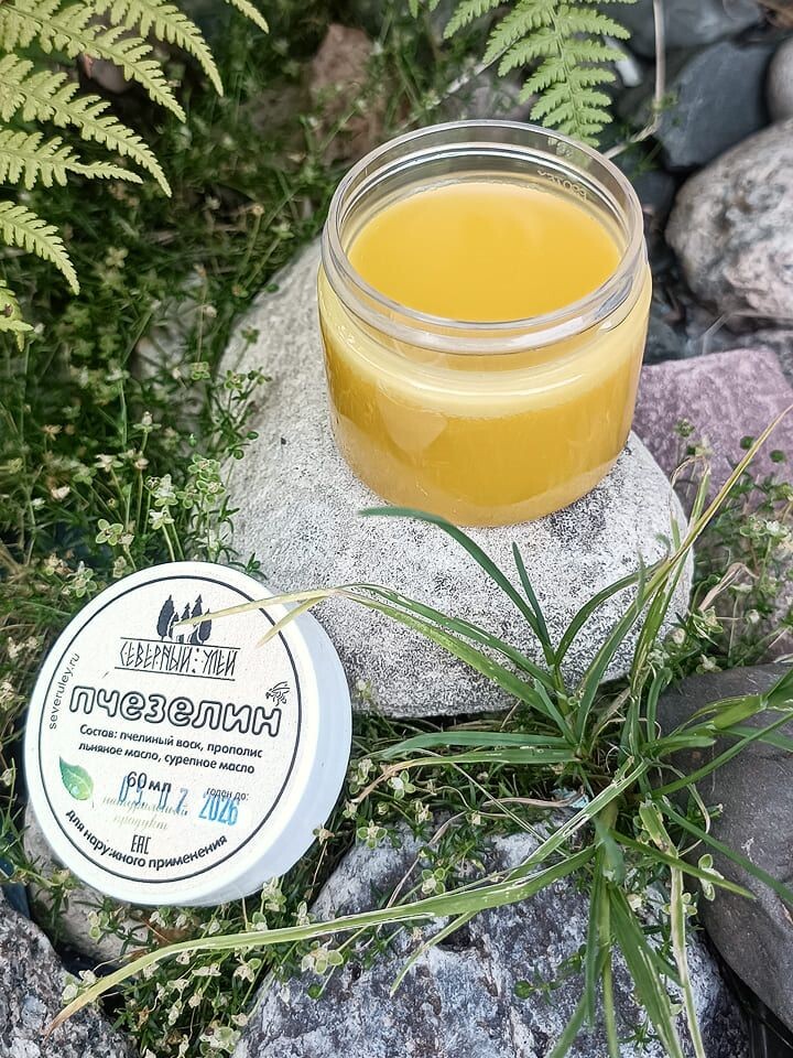 На фото: тот самый «Пчезелин»