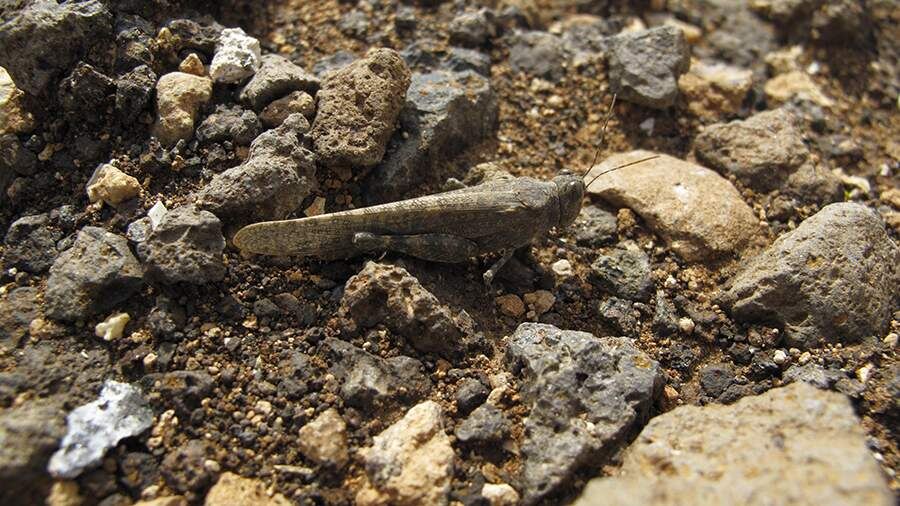    Фото: Global Look Press/Martin Siepmann