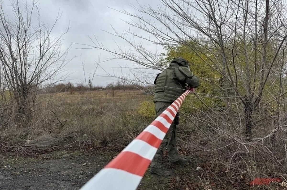    В пруду женского монастыря в Северной Осетии туристы нашли боеприпас