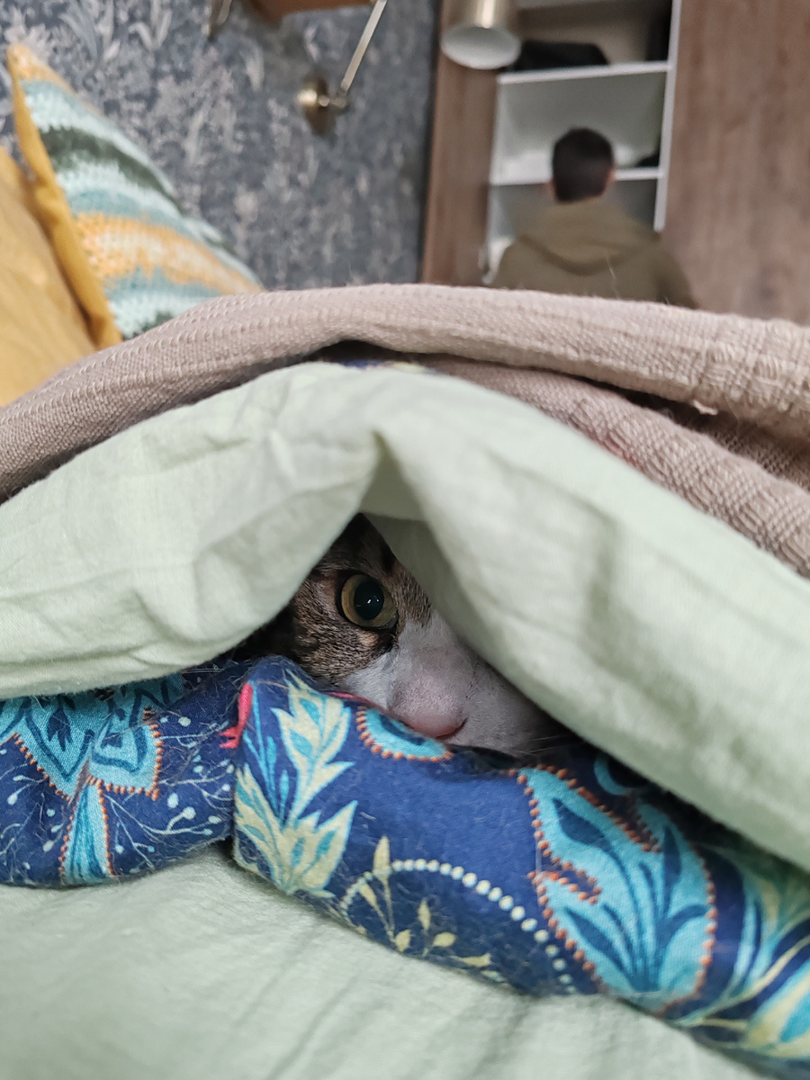 Какая такая дача? Мне и тут хорошо!