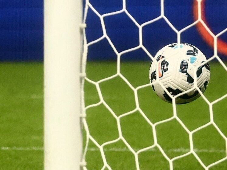     Фото: «МК в Ленобласти»/Дарья Иванова.