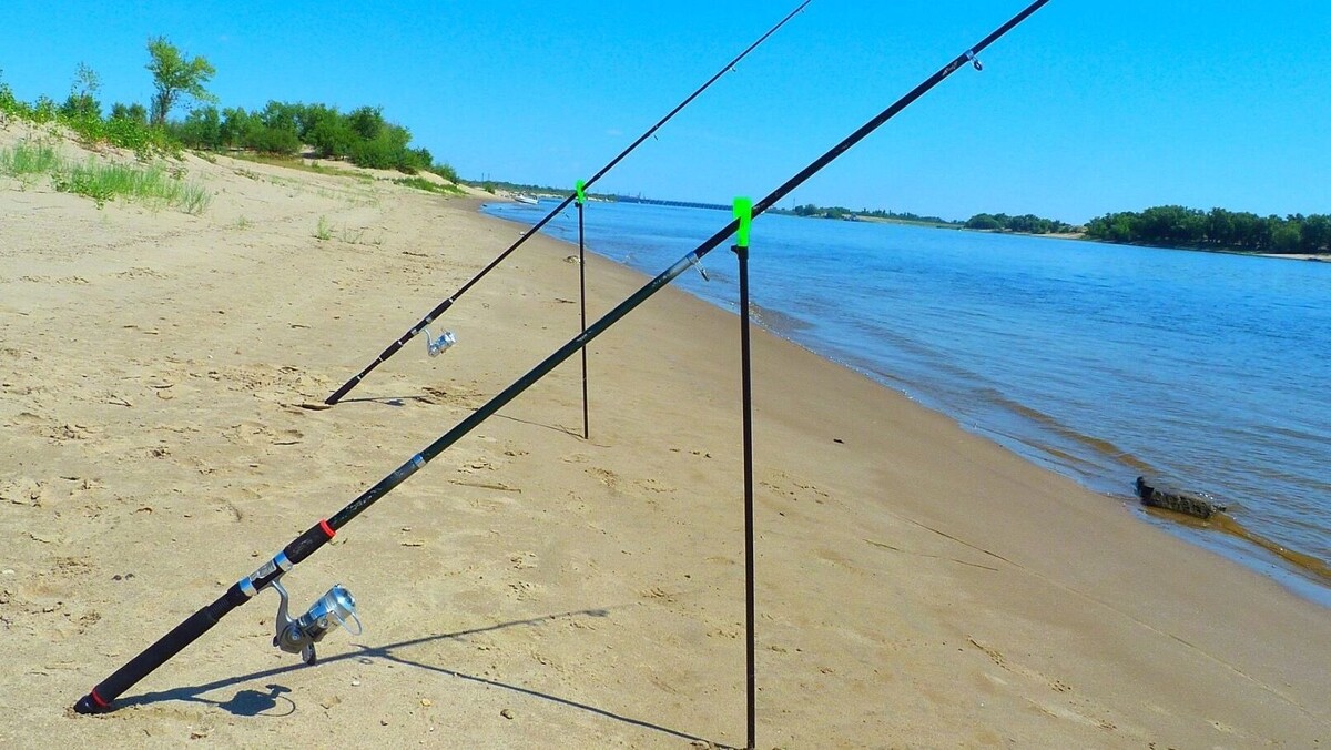    Сворачивайте удочки: с 1 марта в Ростовской области наступит нерестовый запрет   1MI